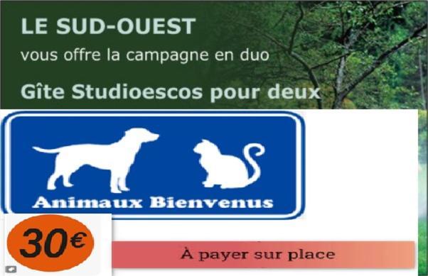 Gite Studioescos El Uno Extérieur photo